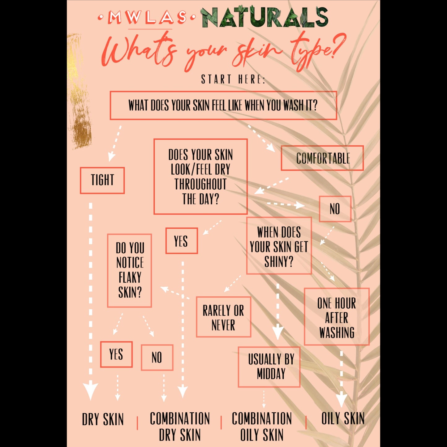 Skin Rejuvenating Oil | Routine Step 5 | Combination Oily Acne Sensitive Skin Types